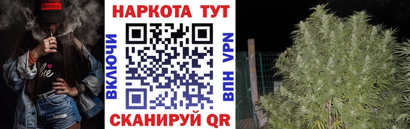 Наркота Андреаполь Конопля СК Псилоцибиновые грибы ГАШИШ