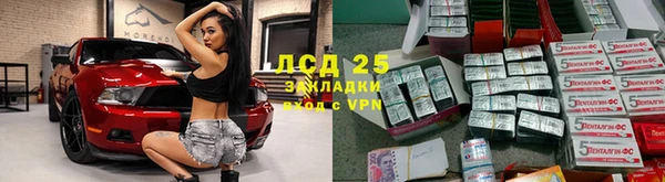 прущие грибы Алексеевка