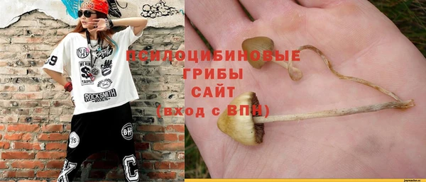 прущие грибы Алексеевка