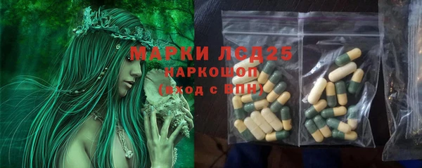 прущие грибы Алексеевка