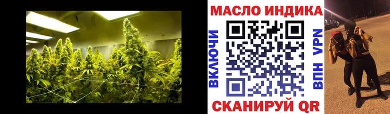 Дистиллят ТГК Wax Андреаполь