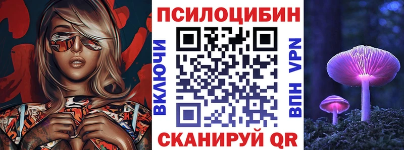 как найти наркотики  Андреаполь  Псилоцибиновые грибы Magic Shrooms 