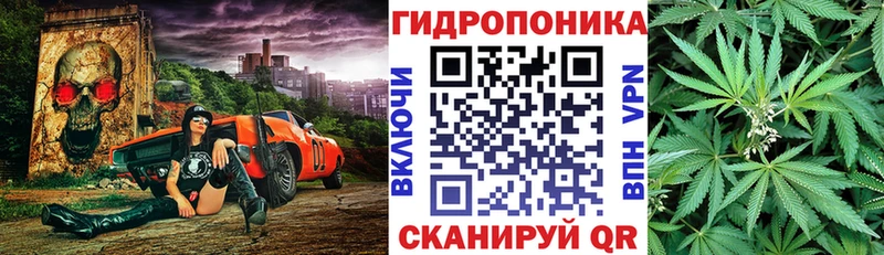 маркетплейс официальный сайт  купить закладку  Андреаполь  Канабис VHQ 